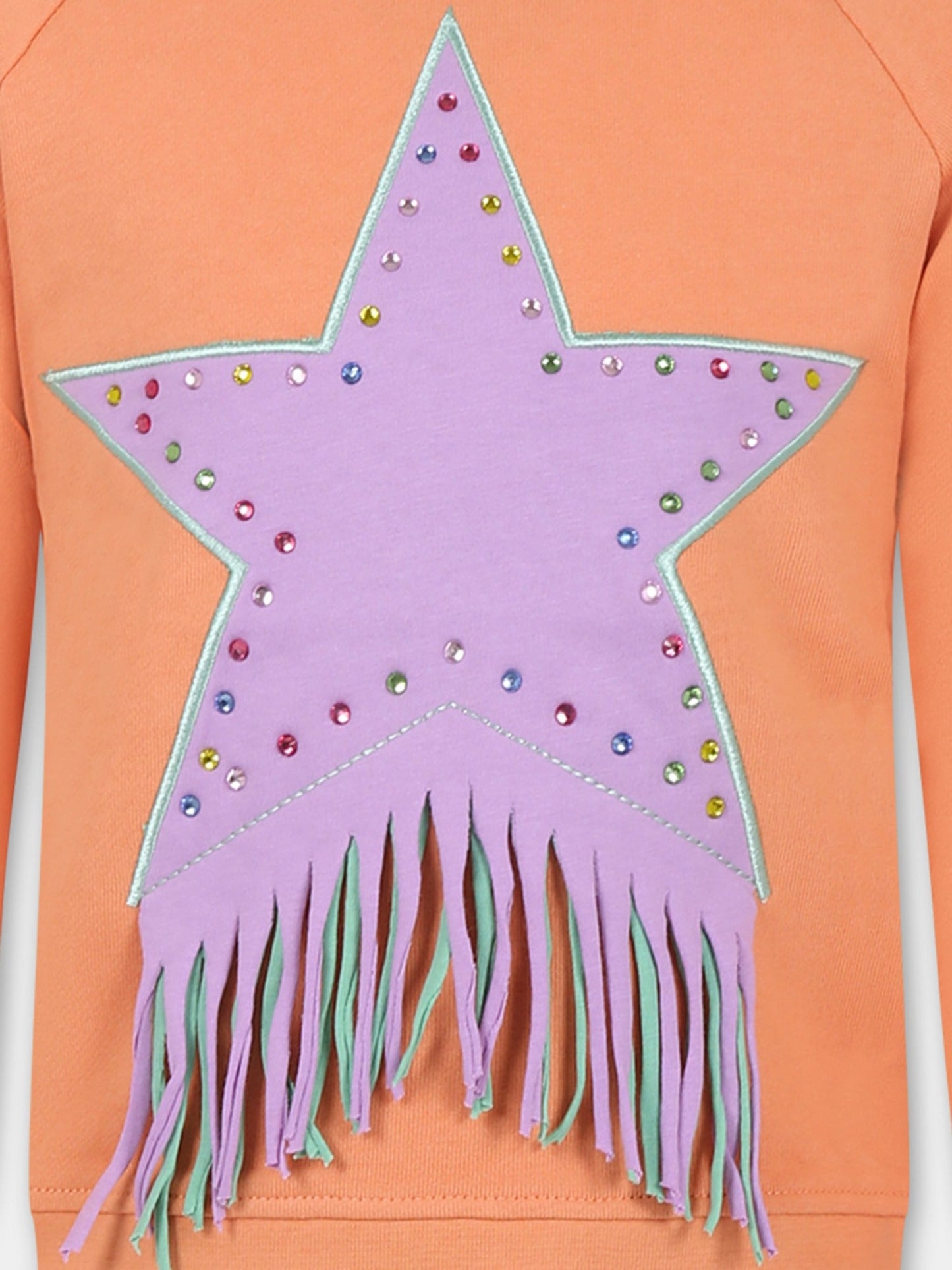 Felpa arancione per bambina con stella,Stella Mccartney Kids,TU4A20 Z0499 404